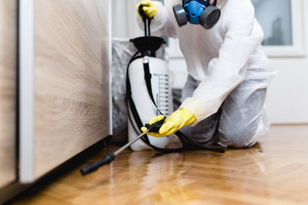 Best Pest Prevention Services  in Piedmont, SD