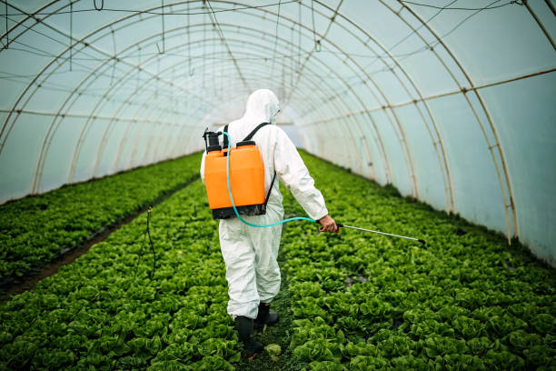 Best Local Pest Control Services  in Piedmont, SD
