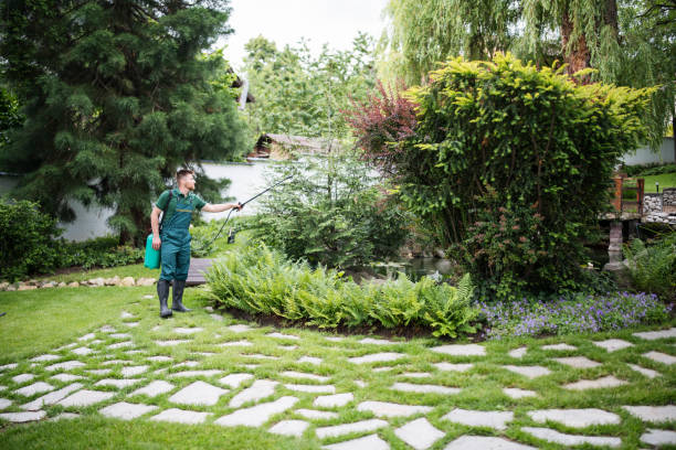 Best Wasp Removal Services  in Piedmont, SD