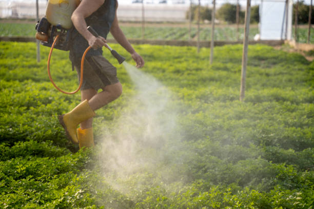Insect Control in Piedmont, SD