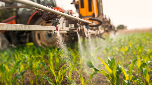 Best Insect Control  in Piedmont, SD